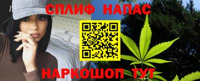 амф Камышлов