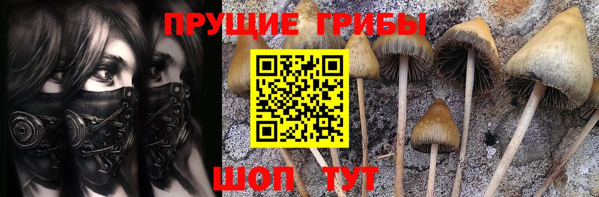 Псилоцибиновые грибы Psilocybine cubensis Шали