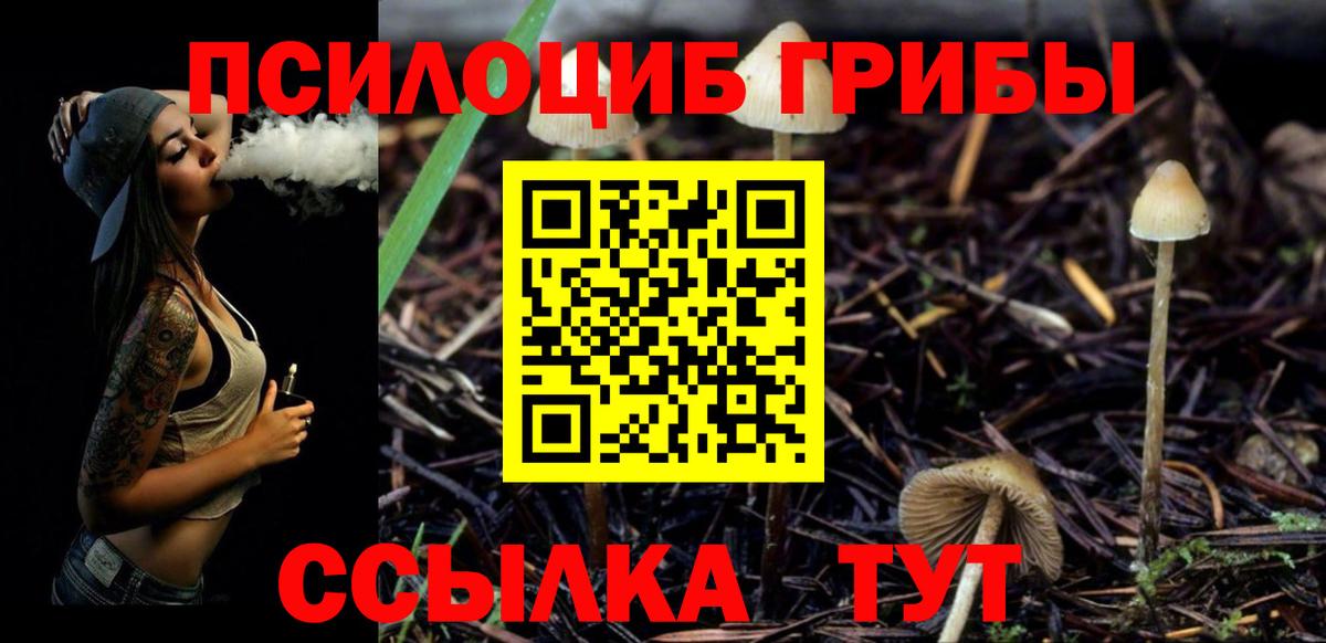 Шали  Псилоцибиновые грибы Psilocybine cubensis  Вход с VPN 